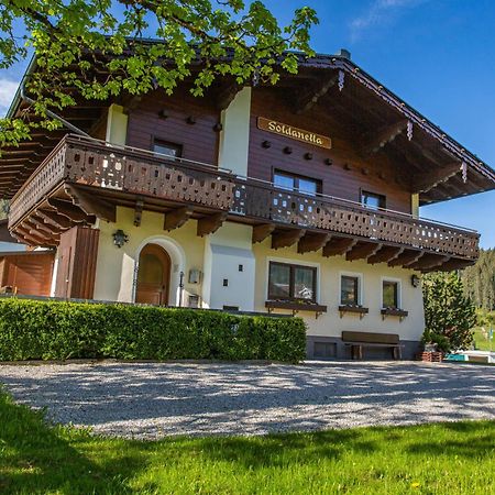 Soldanella 6 By Alpenidyll Apartments Ramsau am Dachstein Exterior photo
